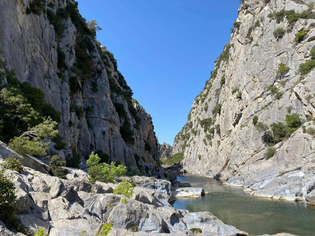 Trois Appartements Au Sein Du Mas Jams - Le Gouleyrous, Le Canigou Et Le Figarassa Vingrau Bagian luar foto