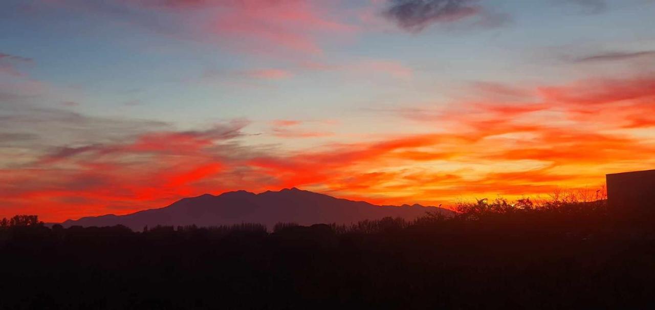 Trois Appartements Au Sein Du Mas Jams - Le Gouleyrous, Le Canigou Et Le Figarassa Vingrau Bagian luar foto